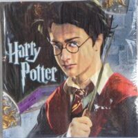 Harry Potter Prisoner of Azkaban lunch napkins (16 ct)